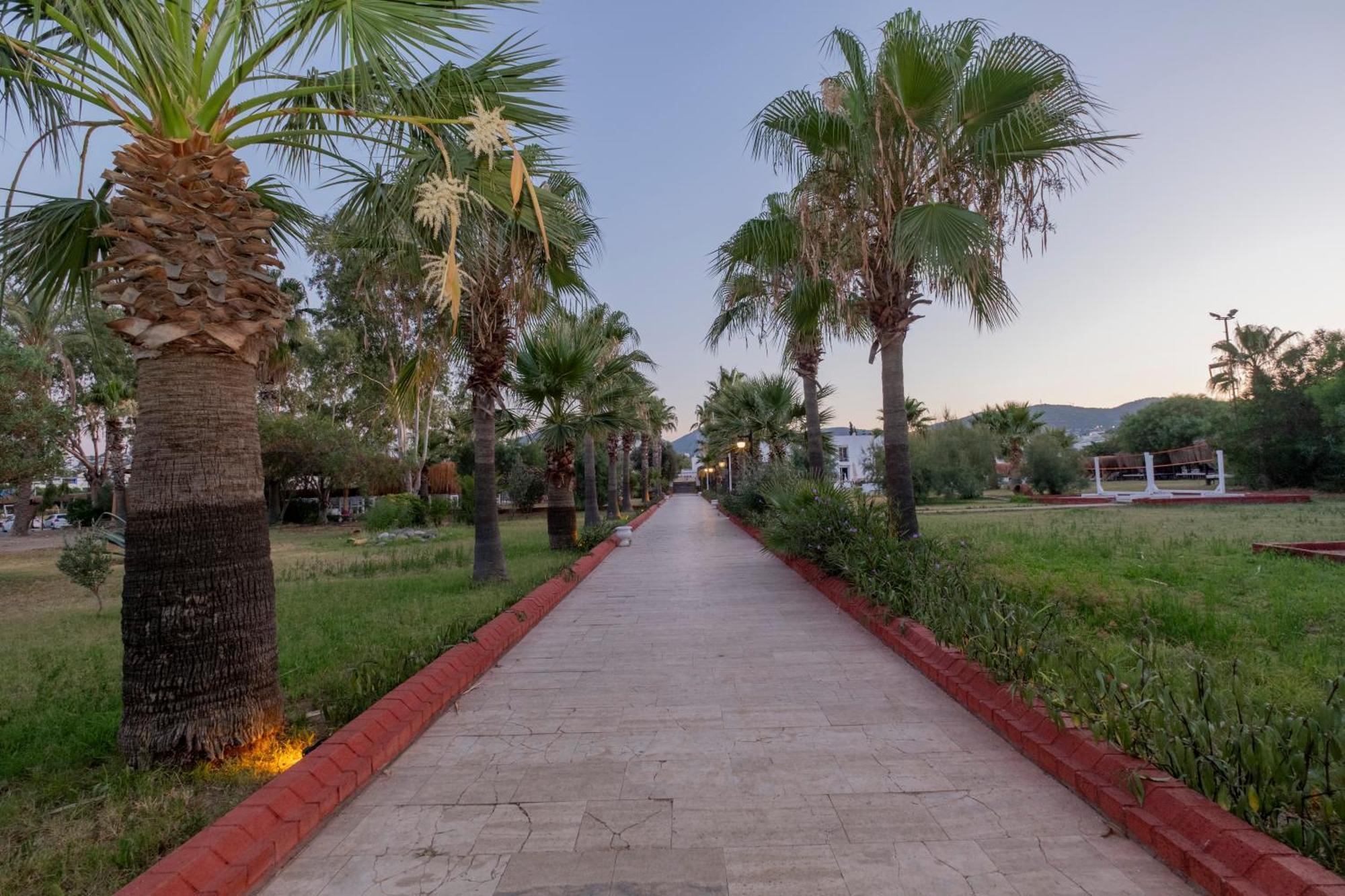 Delmare Boutique Hotel Gümbet Extérieur photo